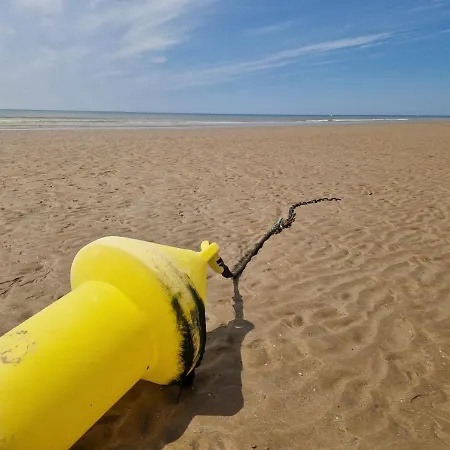 Le Cocon, 100m De La Plage, Place De Parking Prive Apartment *