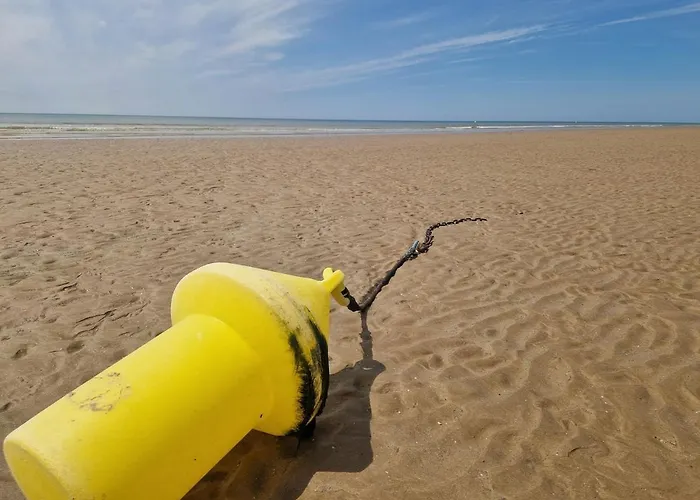 Le Cocon, 100m De La Plage, Place De Parking Prive 아파트 *